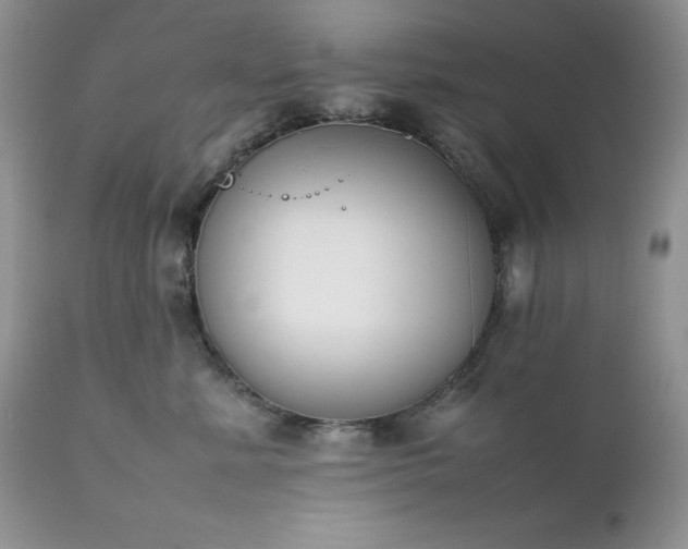 X0000111780619200907301122