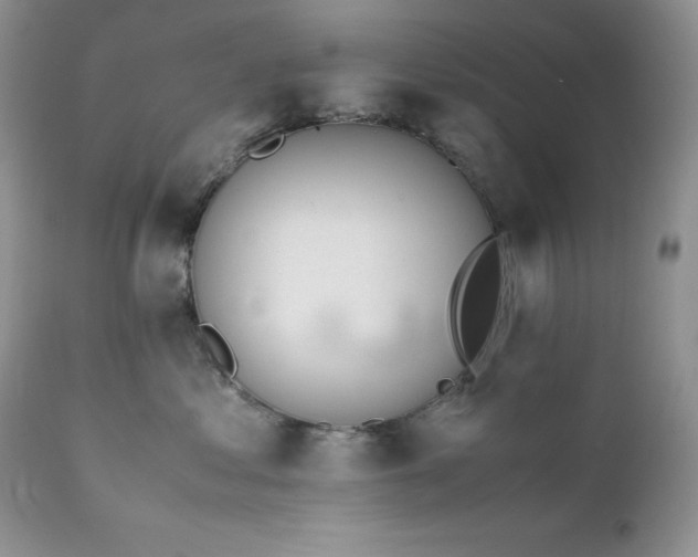 X0000111780621200907301122
