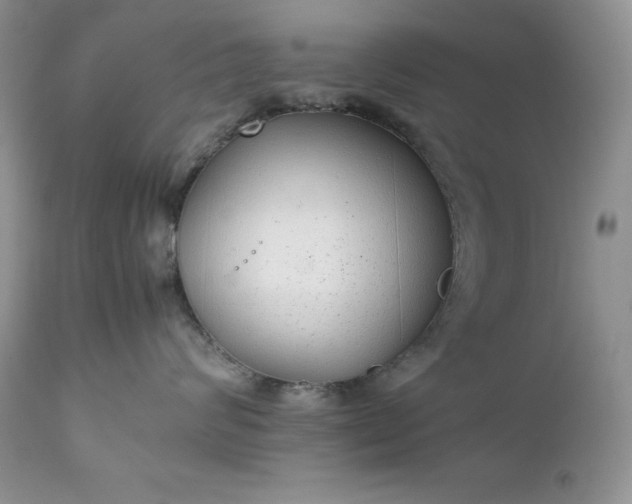 X0000111780624200907301122
