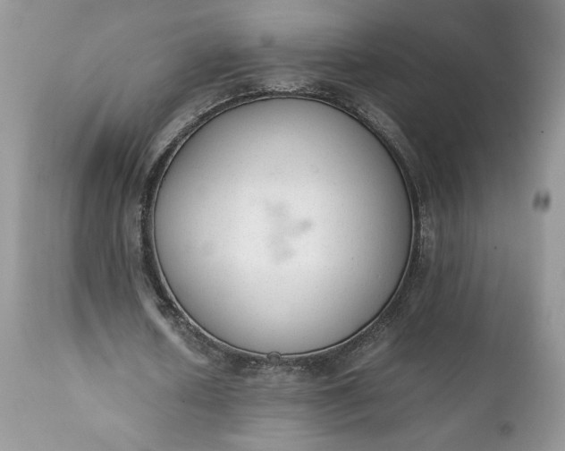 X0000111780626200907301121
