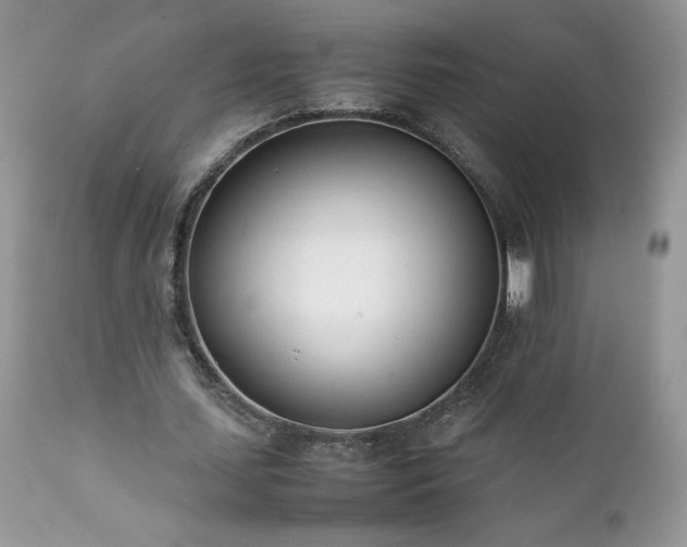 X0000111780627200907301121
