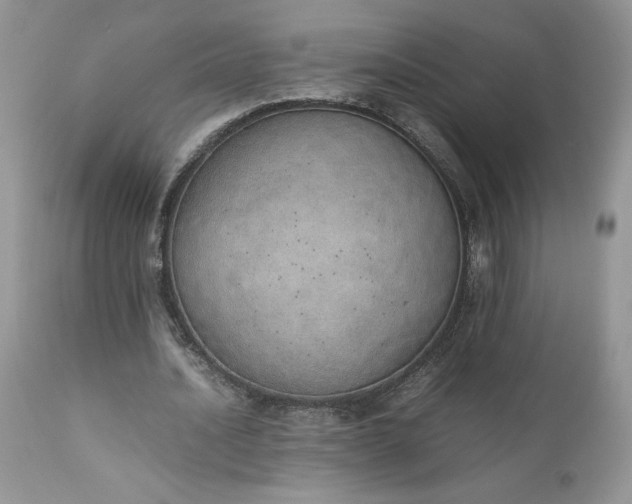 X0000111780628200907301121