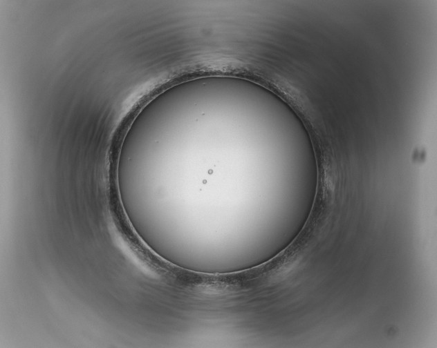 X0000111780630200907301121