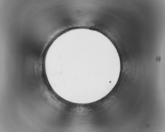 X0000111780632200907301121