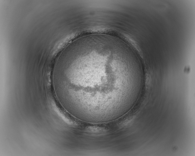X0000111780633200907301121