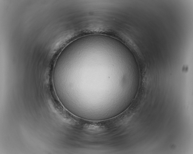 X0000111780635200907301121