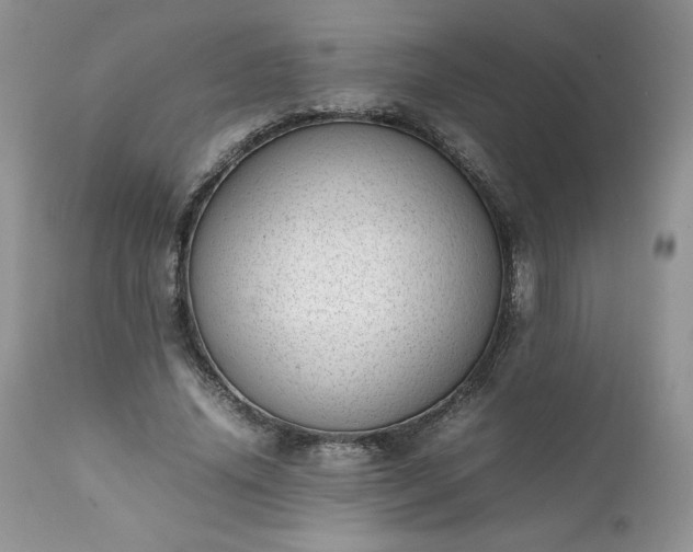 X0000111780636200907301121