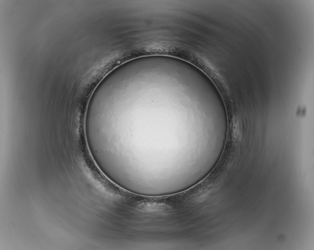 X0000111780637200907301121