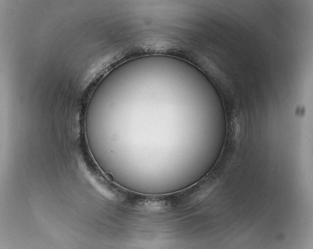 X0000111780638200907301121