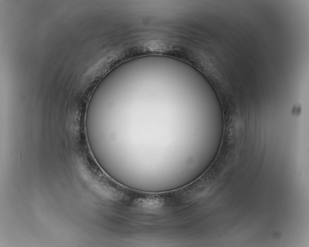 X0000111780639200907301121