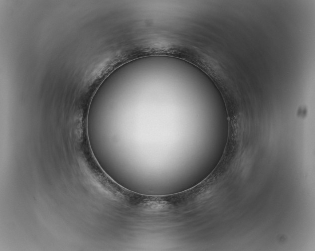 X0000111780642200907301121