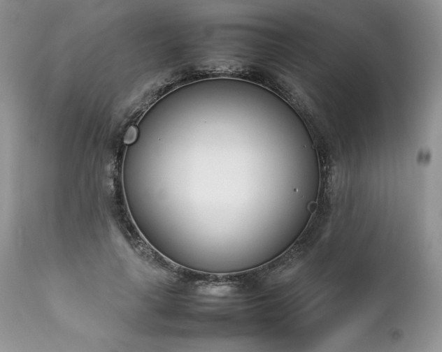 X0000111780643200907301121