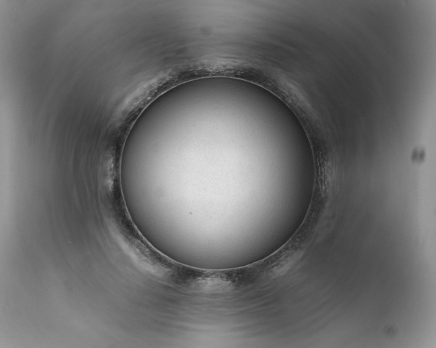 X0000111780644200907301121