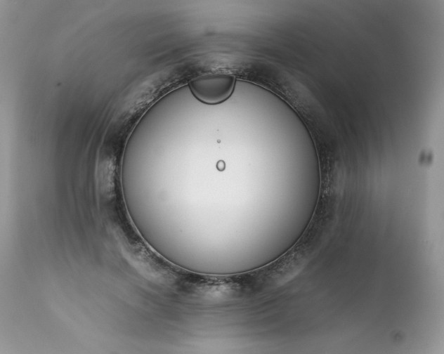 X0000111780646200907301122