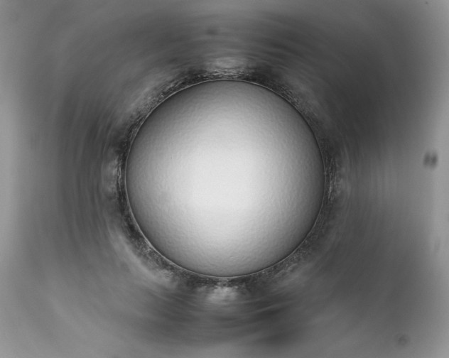 X0000111780647200907301122