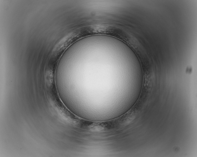X0000111780648200907301122