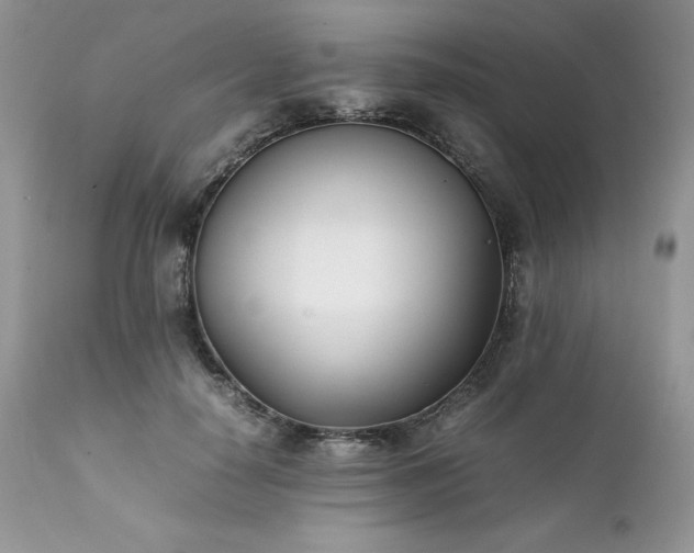 X0000111780650200907301122
