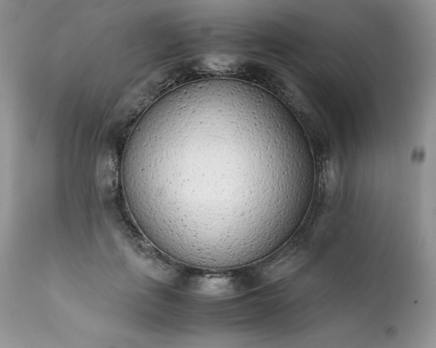 X0000111780651200907301122