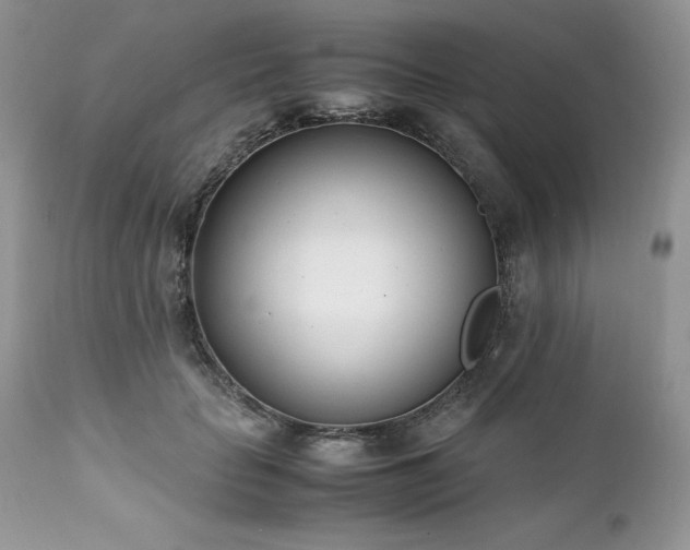 X0000111780653200907301122
