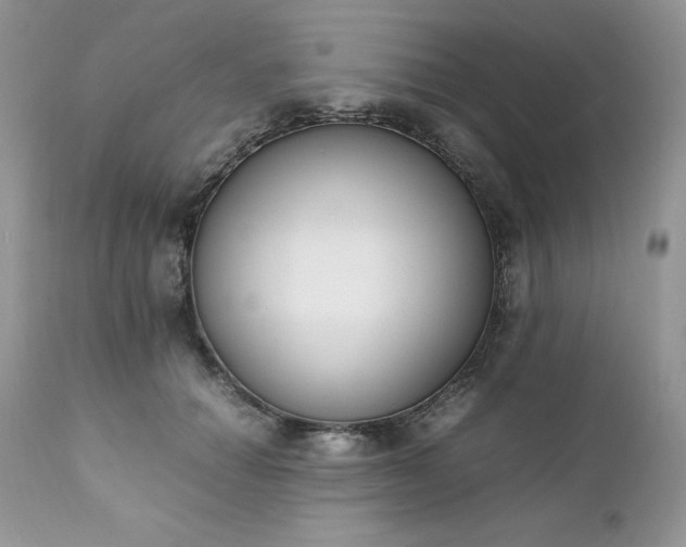 X0000111780654200907301122