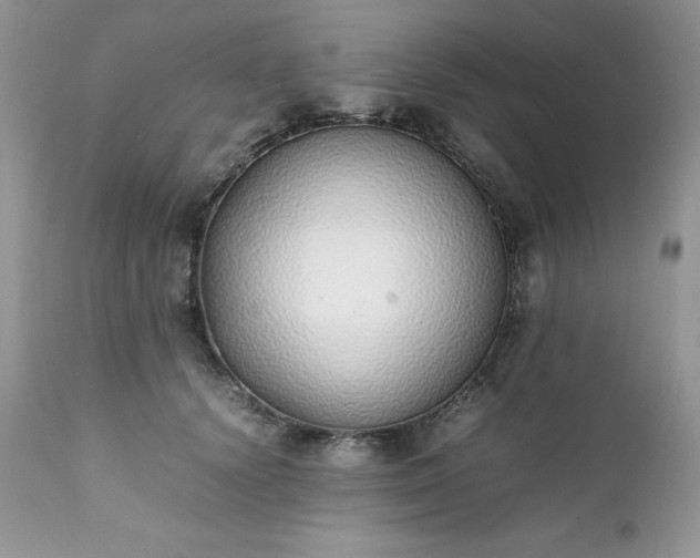 X0000111780656200907301122
