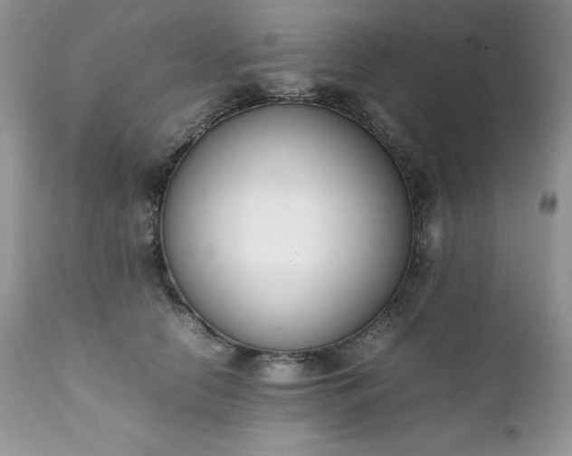 X0000111780658200907301122