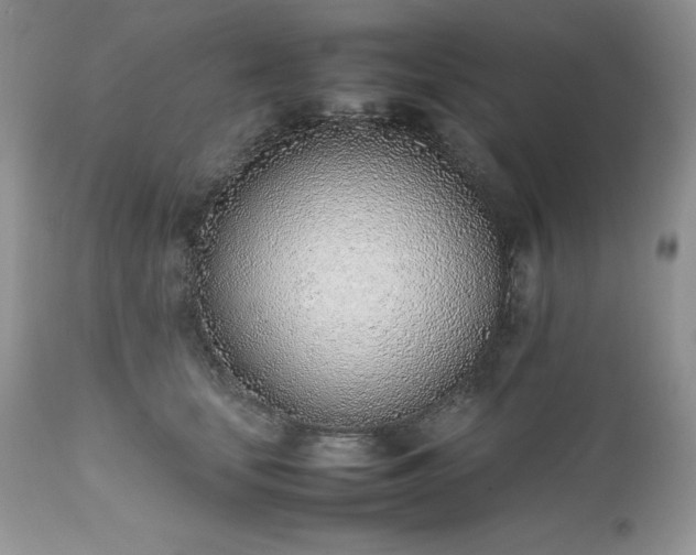 X0000111780659200907301122