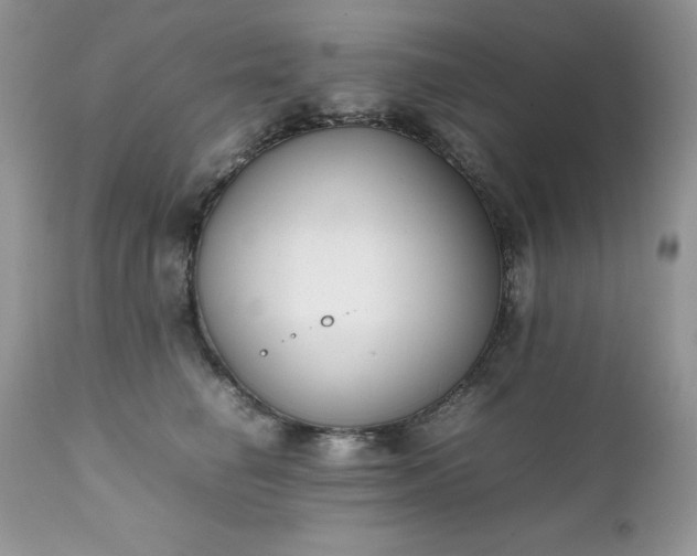 X0000111780662200907301122