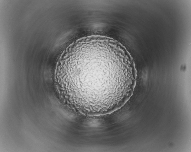 X0000111780663200907301122