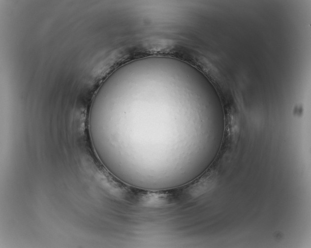 X0000111780664200907301122