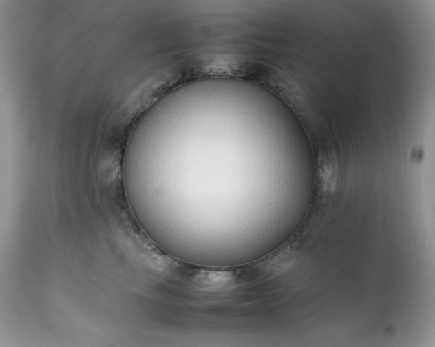 X0000111780665200907301122