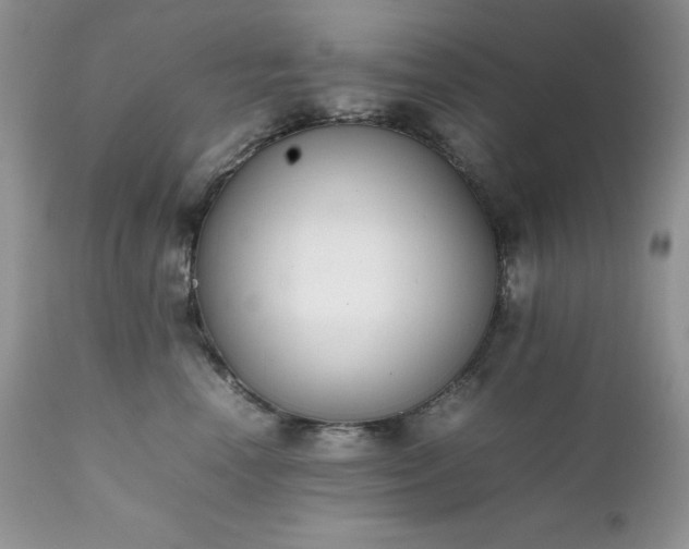 X0000111780666200907301122