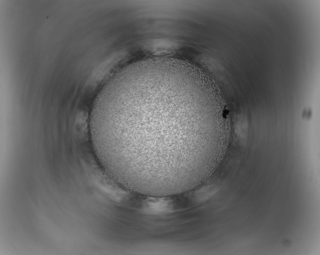 X0000111780667200907301122