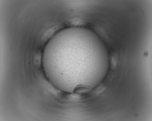 X0000111780668200907301122