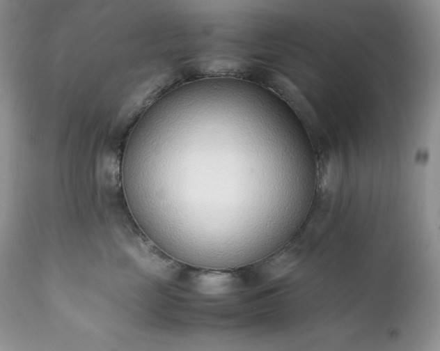 X0000111780669200907301122