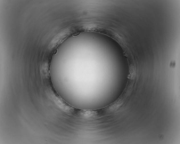 X0000111780670200907301122