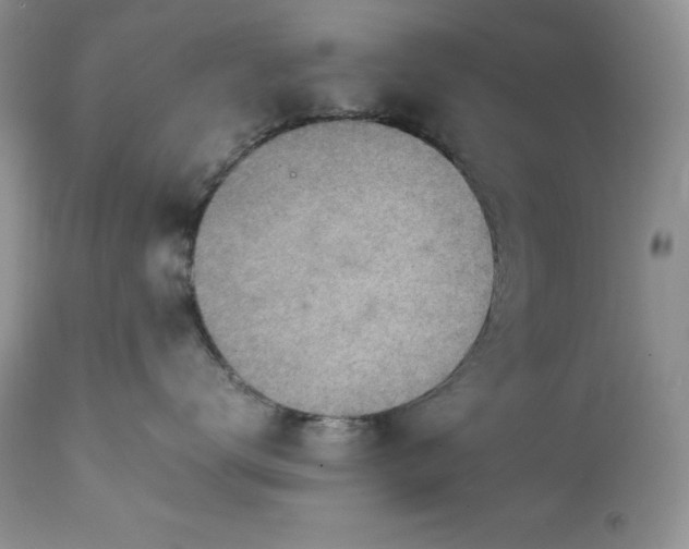 X0000111780672200907301122
