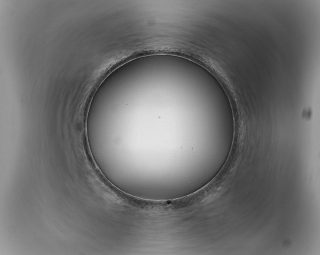 X0000111780673200907301121