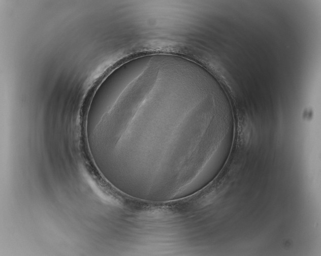 X0000111780674200907301121