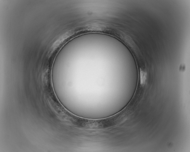 X0000111780675200907301121