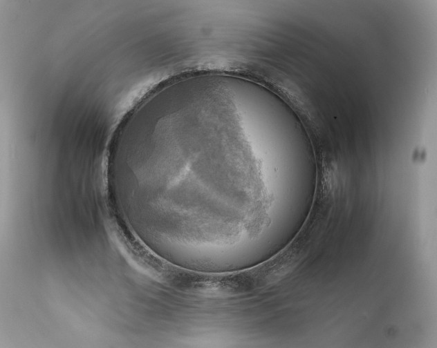 X0000111780678200907301121