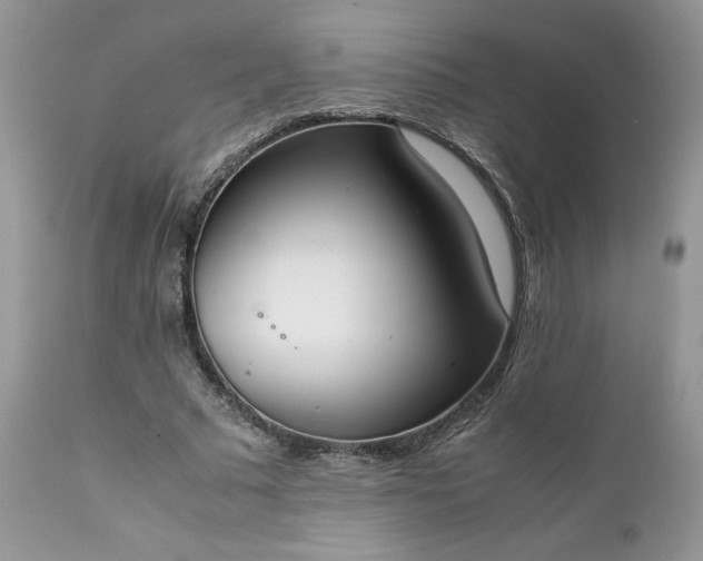 X0000111780681200907301121