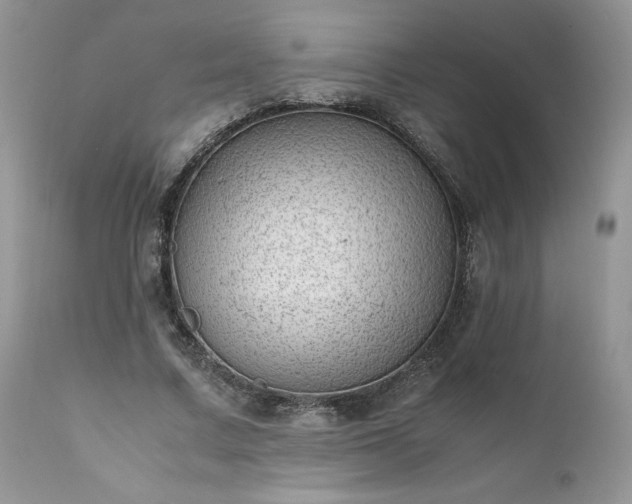 X0000111780683200907301121