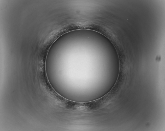 X0000111780689200907301121