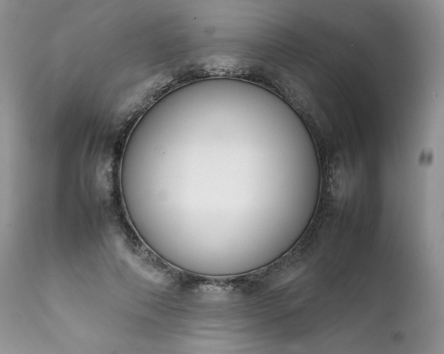 X0000111780690200907301121