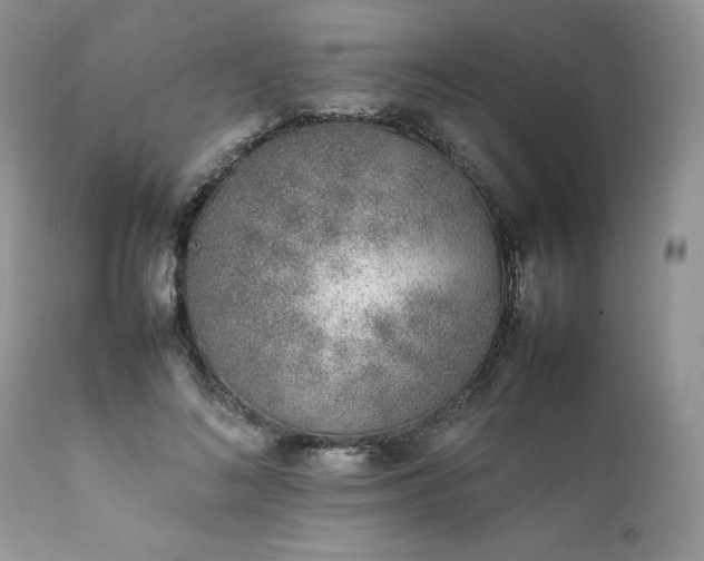 X0000111780692200907301121