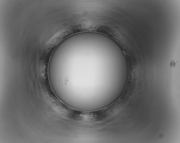 X0000111780693200907301121