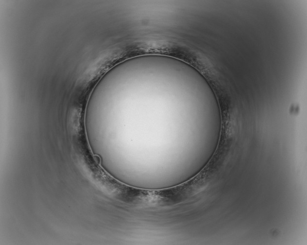 X0000111780695200907301121
