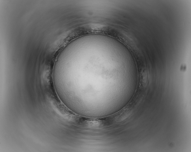 X0000111780698200907301121