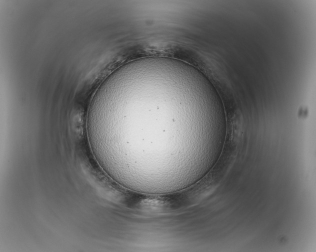 X0000111780699200907301121